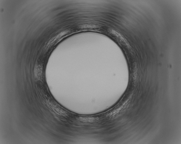 X0000087360825200705181149