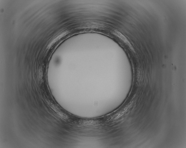 X0000087360826200705181149