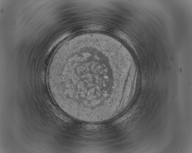 X0000087360827200705181149