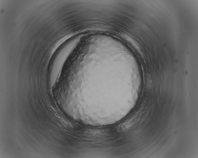 X0000087360829200705181149