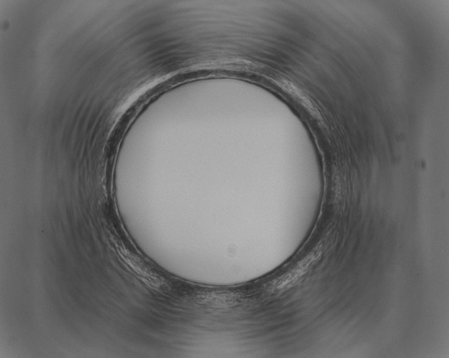 X0000087360830200705181149