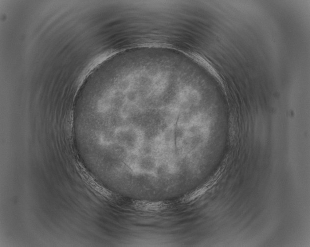 X0000087360831200705181149