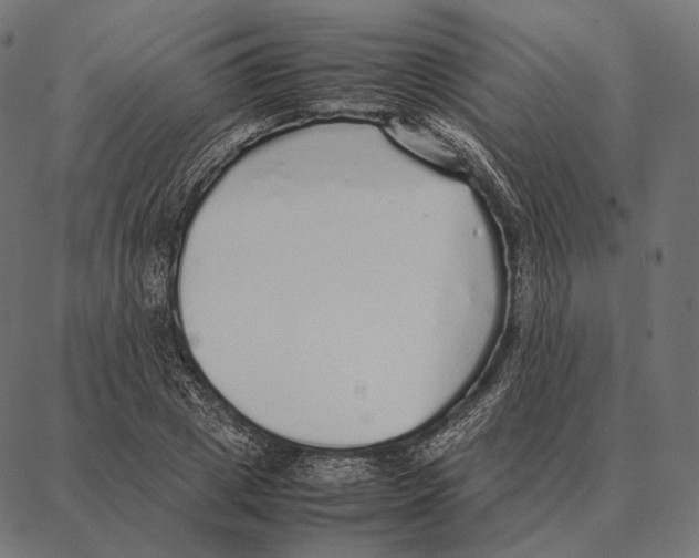 X0000087360833200705181149