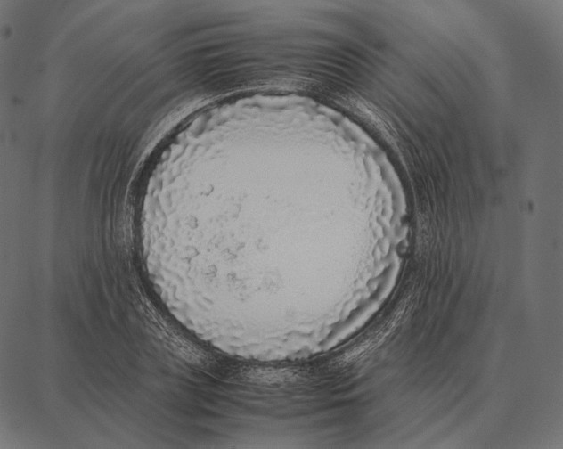 X0000087360835200705181149