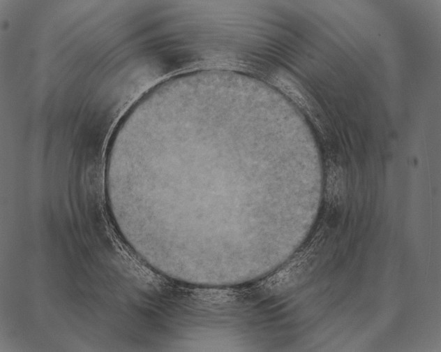 X0000087360836200705181149