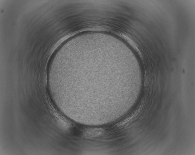 X0000087360837200705181149