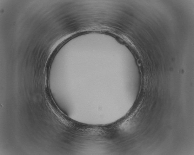 X0000087360838200705181149