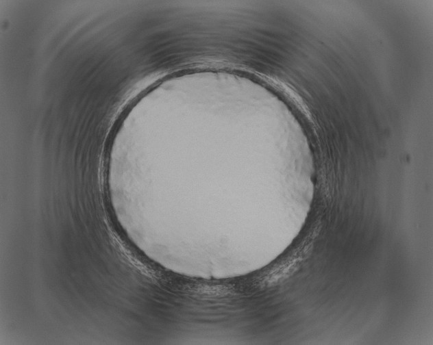 X0000087360839200705181149