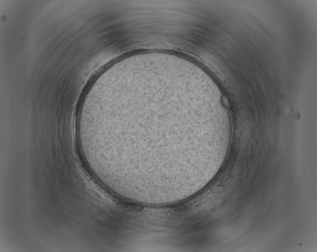 X0000087360840200705181149