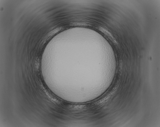 X0000087360841200705181149