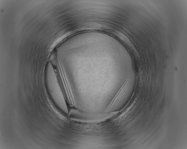 X0000087360842200705181149