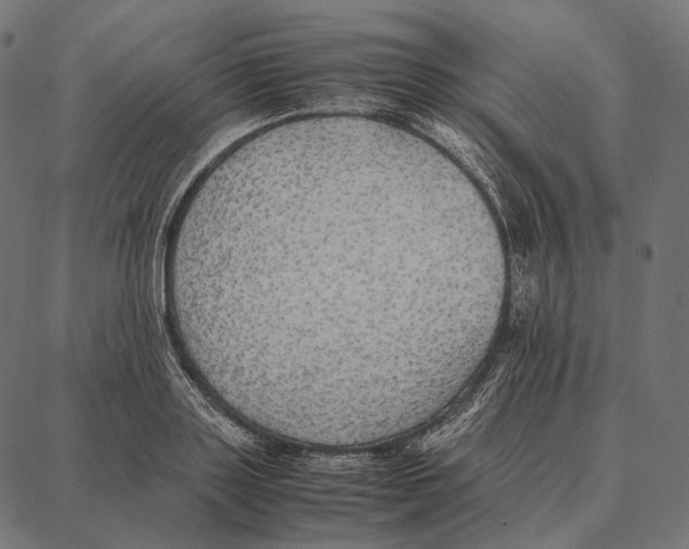 X0000087360843200705181149