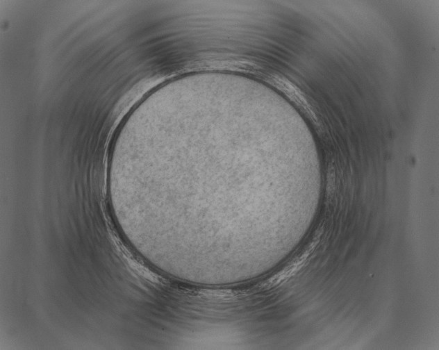 X0000087360844200705181149