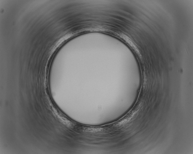 X0000087360845200705181149