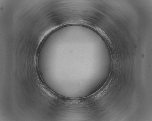 X0000087360846200705181149