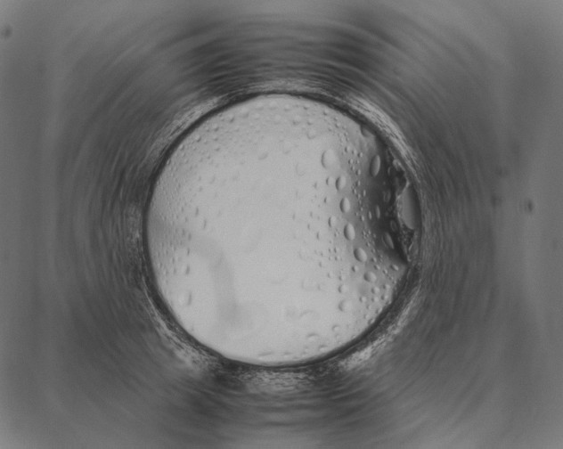 X0000087360849200705181149