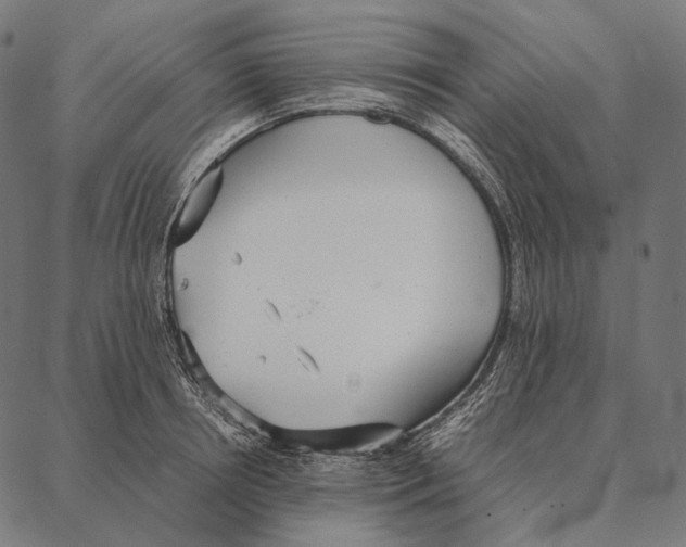 X0000087360850200705181149