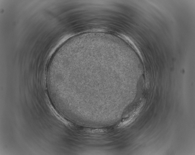 X0000087360851200705181150