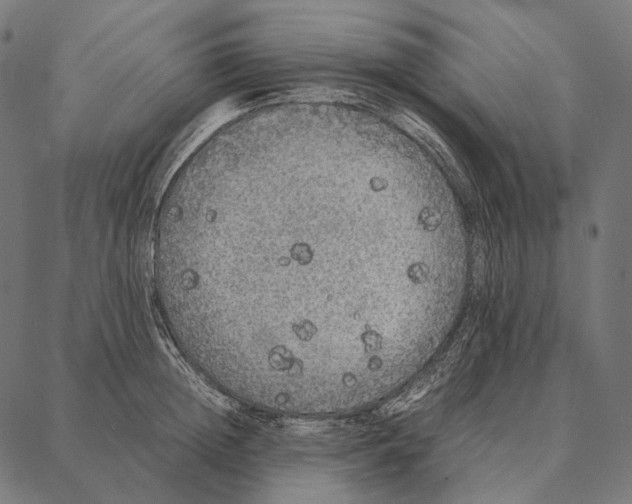 X0000087360852200705181150