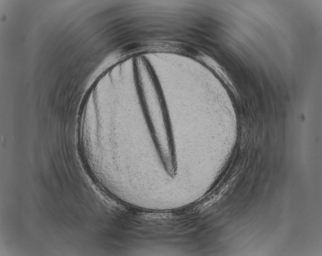 X0000087360853200705181150