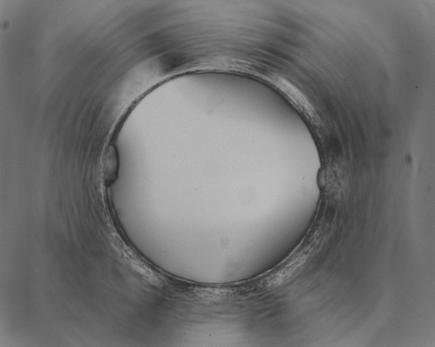 X0000087360854200705181150