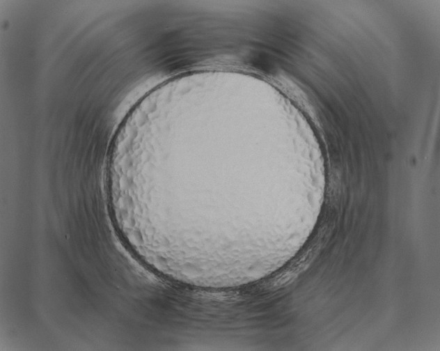 X0000087360855200705181150