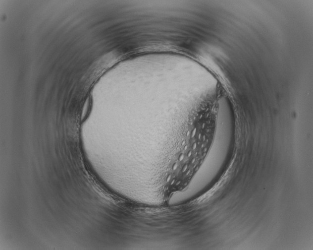 X0000087360857200705181150