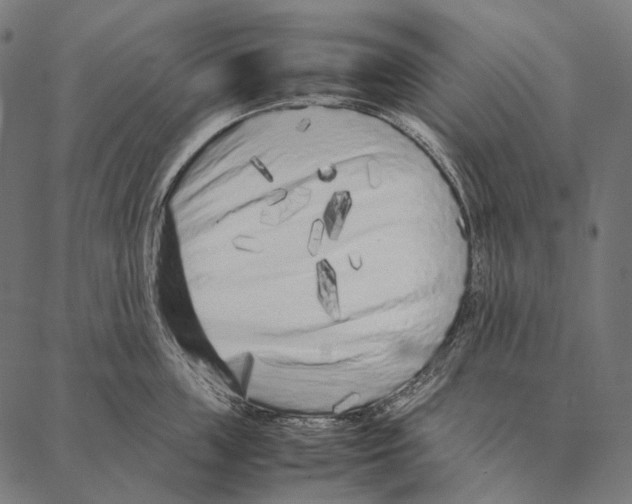 X0000087360859200705181150