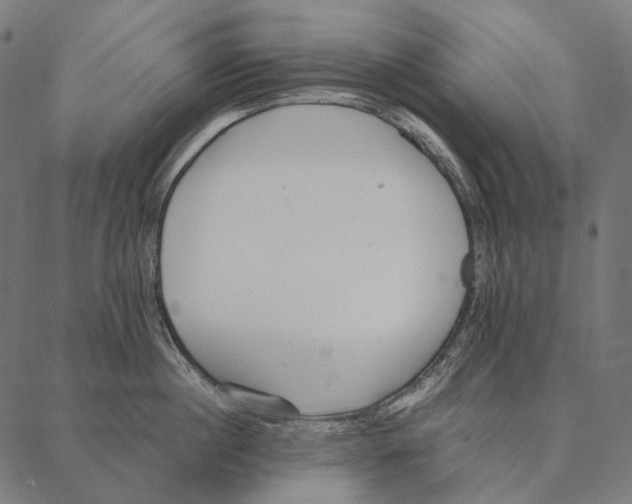 X0000087360860200705181150