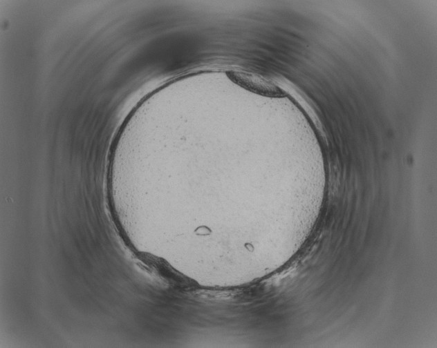 X0000087360861200705181150