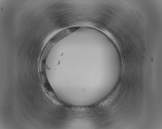 X0000087360862200705181150