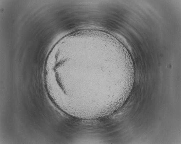 X0000087360863200705181150