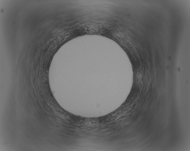 X0000087360865200705181149