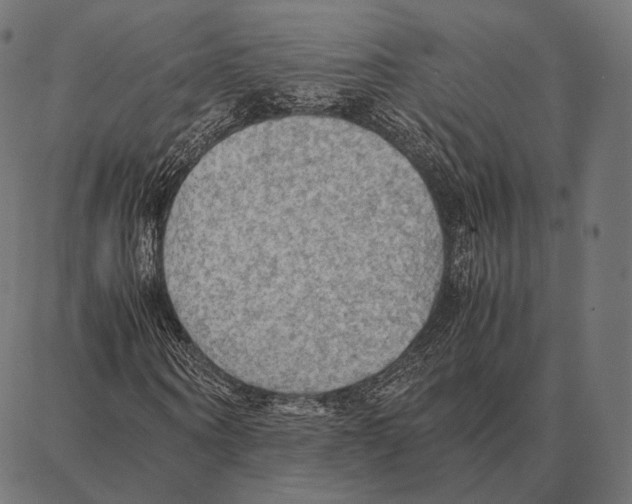 X0000087360866200705181149