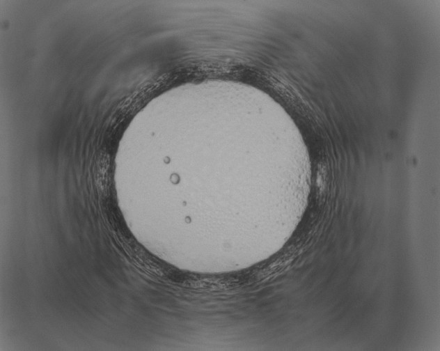 X0000087360867200705181149