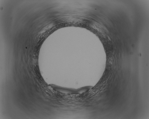 X0000087360869200705181149