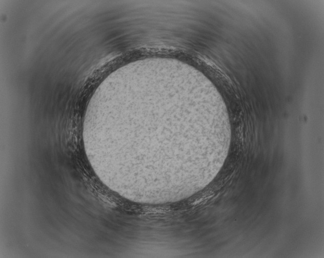 X0000087360870200705181149