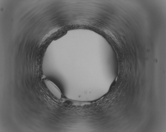 X0000087360872200705181149