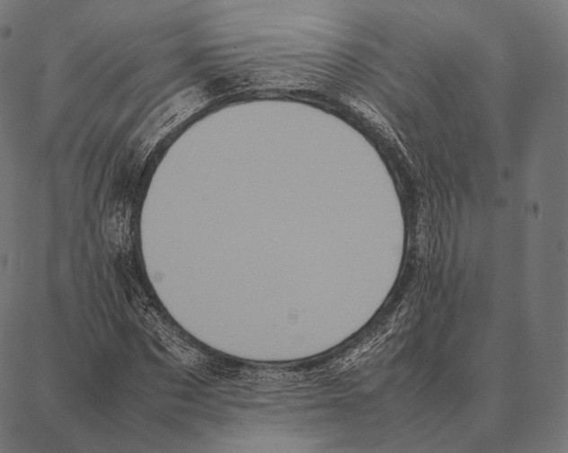 X0000087360873200705181149