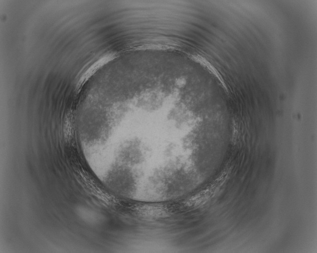 X0000087360874200705181149