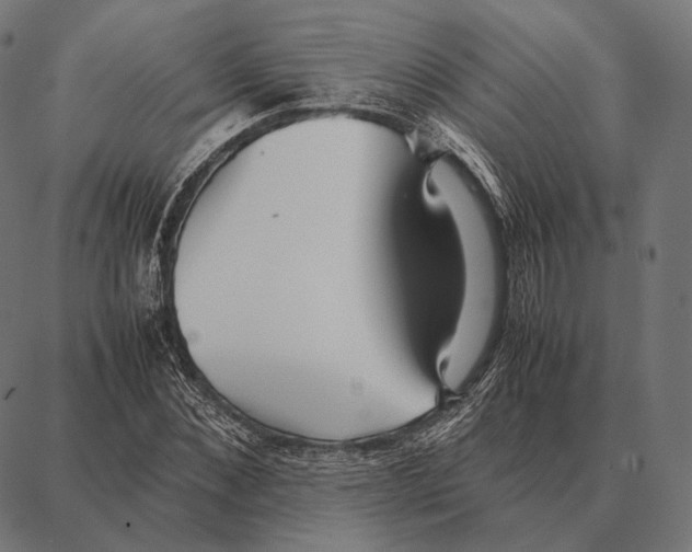 X0000087360876200705181149