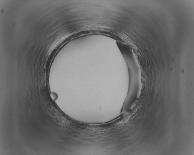 X0000087360877200705181149