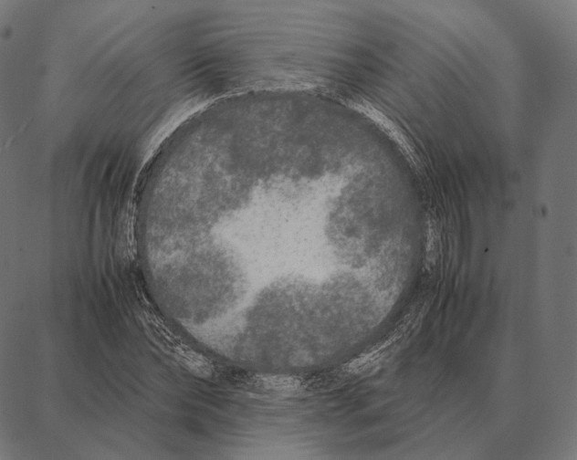 X0000087360878200705181149