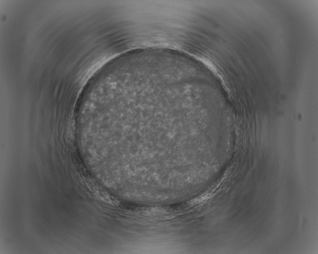 X0000087360879200705181149