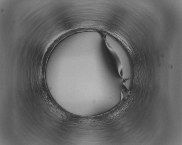 X0000087360880200705181149