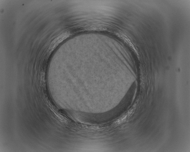 X0000087360881200705181149