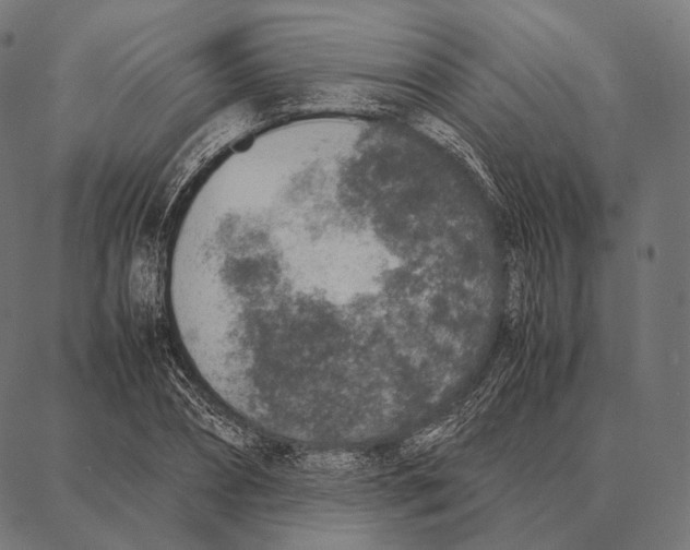 X0000087360882200705181149