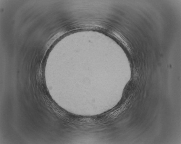 X0000087360883200705181149