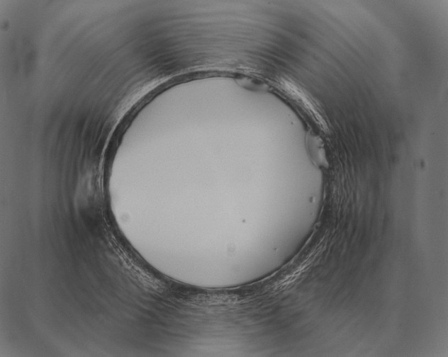 X0000087360884200705181149