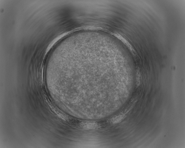 X0000087360886200705181149